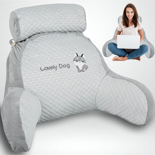 BackBuddy™ - Bedside Sofa Pillow Backrest