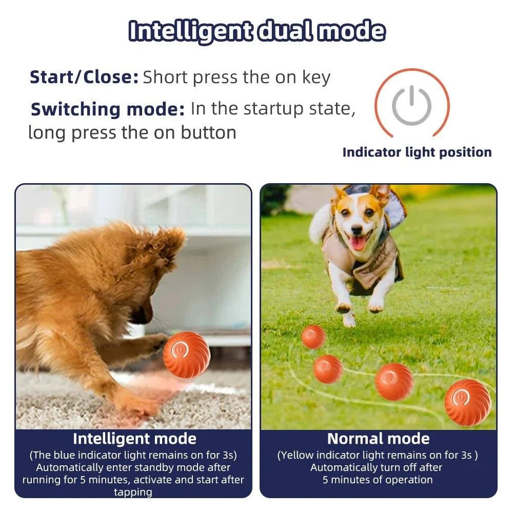 Smart Dog Toy Ball - GeniePanda