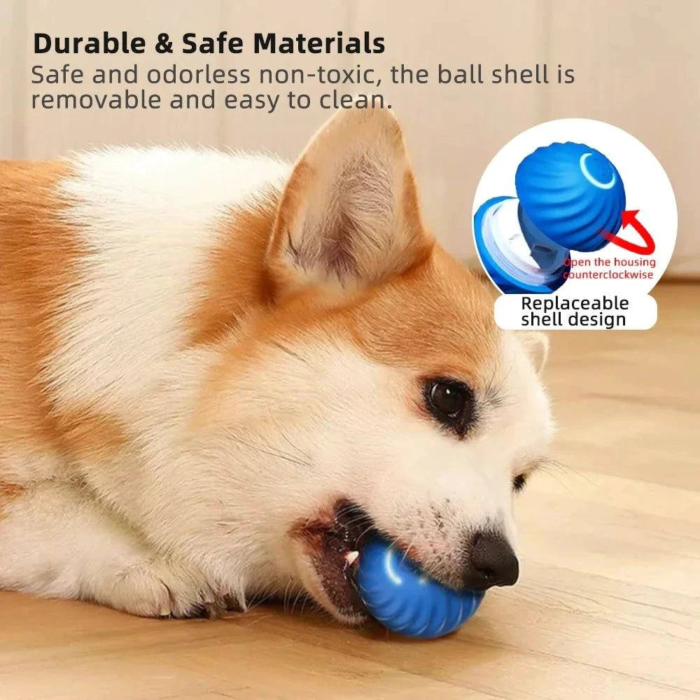 Smart Dog Toy Ball - GeniePanda