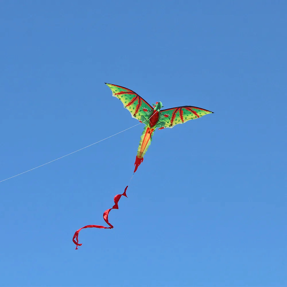 3D Dragon Kite Single Line with Tail Kites Outdoor Fun Toy Kite Family Outdoor Sports Toy Children Kids Easy to Fly Power Kites