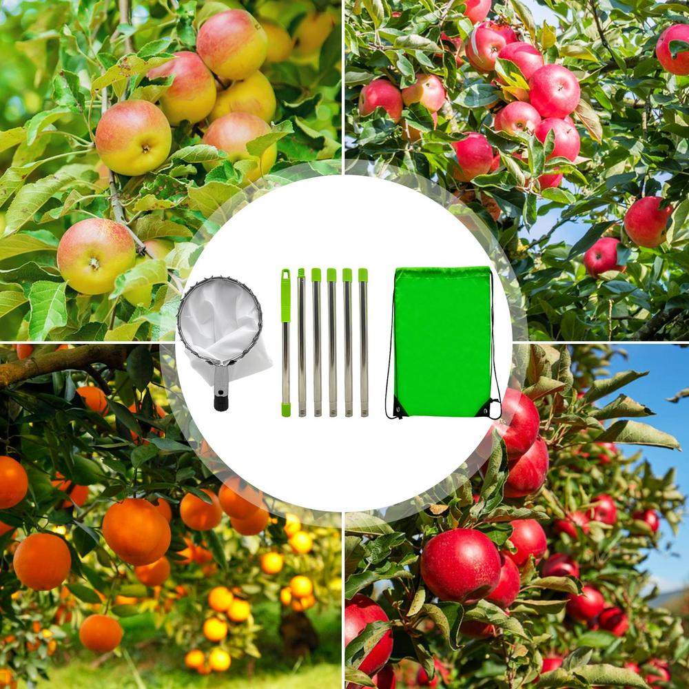 SkyHarvest™ Deluxe Fruit Picker - GeniePanda