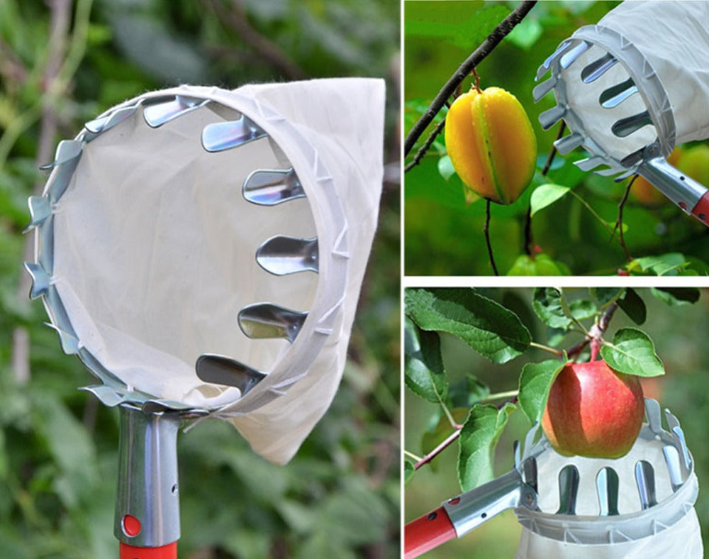 SkyHarvest™ Deluxe Fruit Picker - GeniePanda