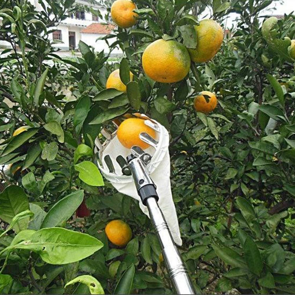 SkyHarvest™ Deluxe Fruit Picker - GeniePanda