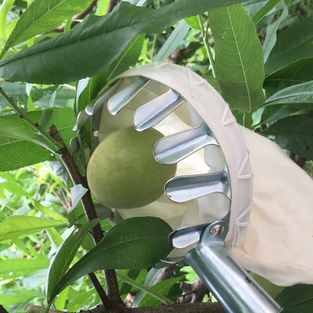 SkyHarvest™ Deluxe Fruit Picker - GeniePanda