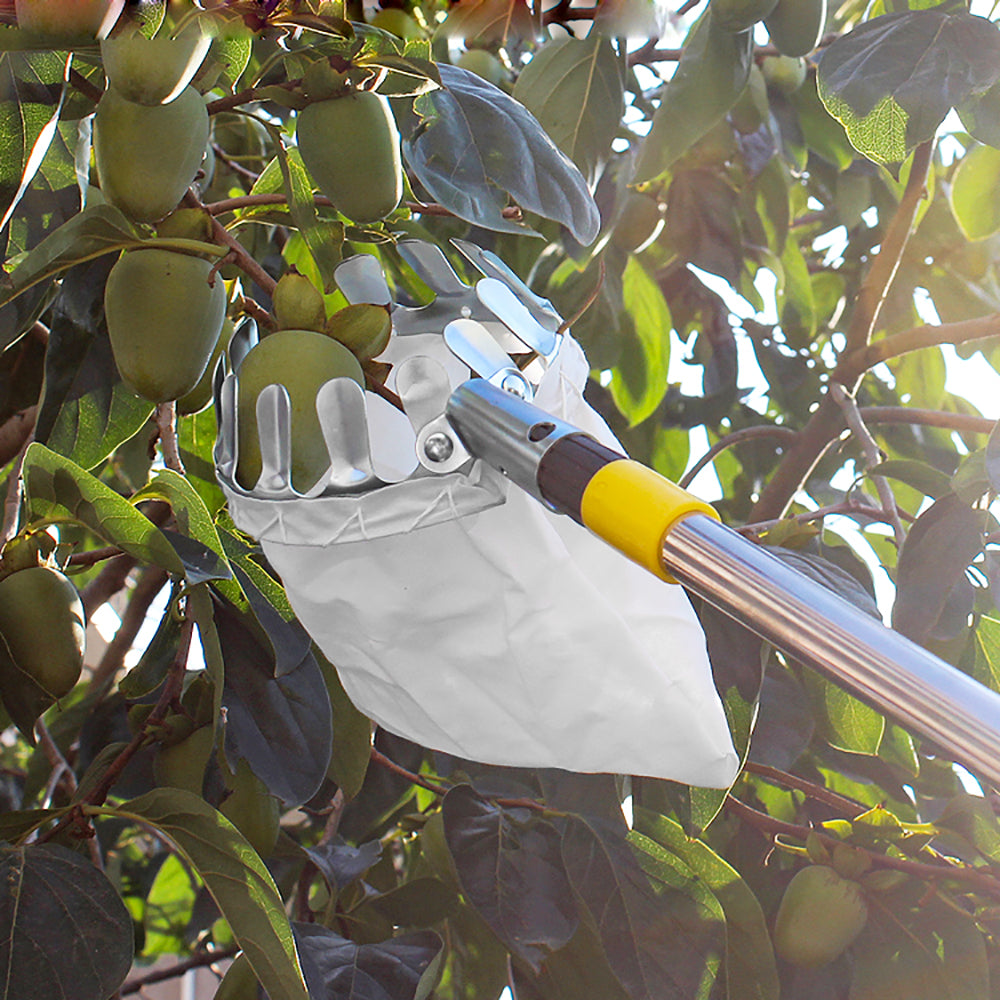 SkyHarvest™ Deluxe Fruit Picker - GeniePanda