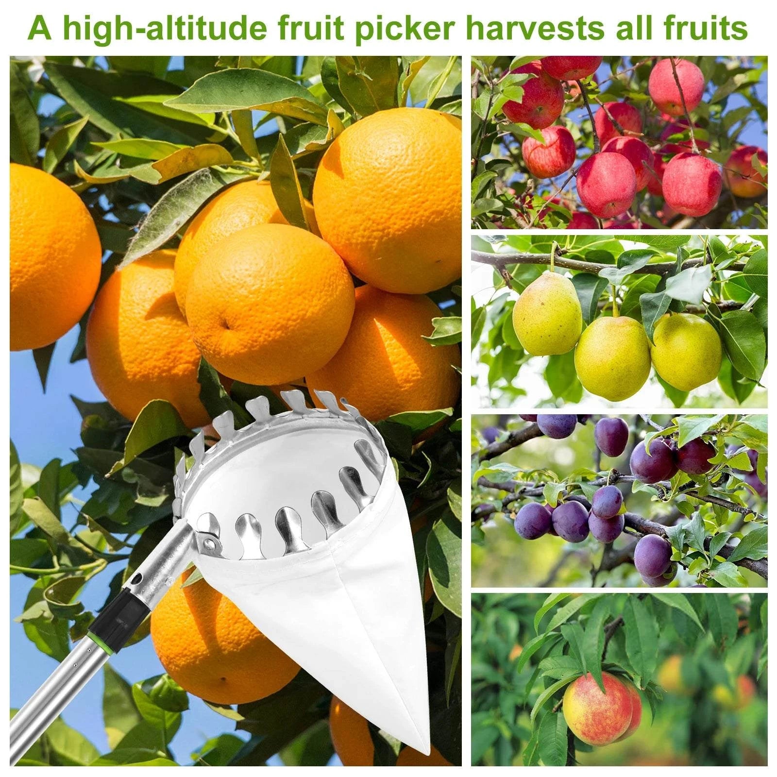 SkyHarvest™ Deluxe Fruit Picker - GeniePanda