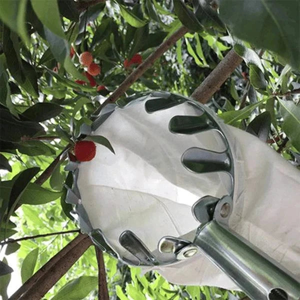 SkyHarvest™ Deluxe Fruit Picker - GeniePanda