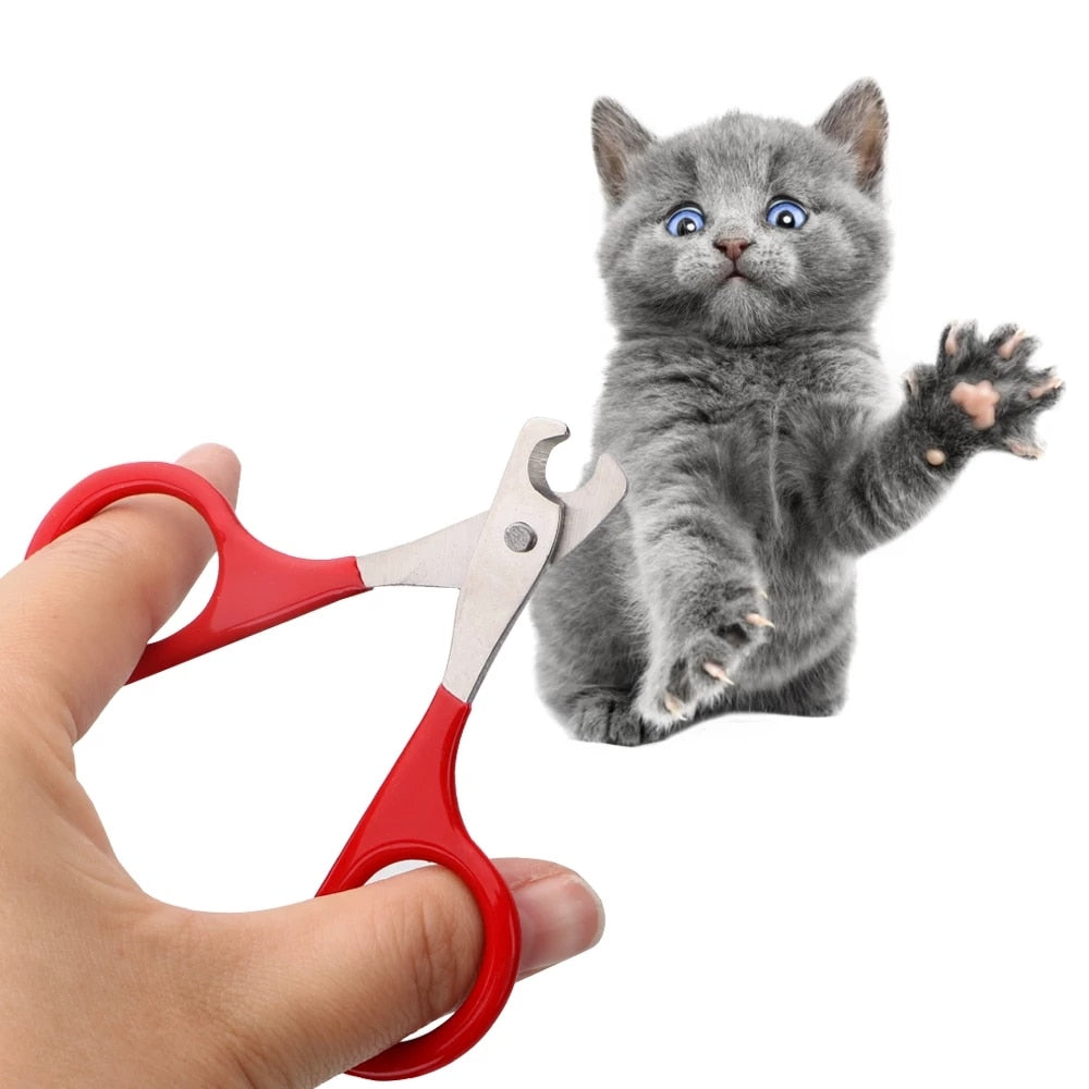 Cat Nail Clippers - GeniePanda