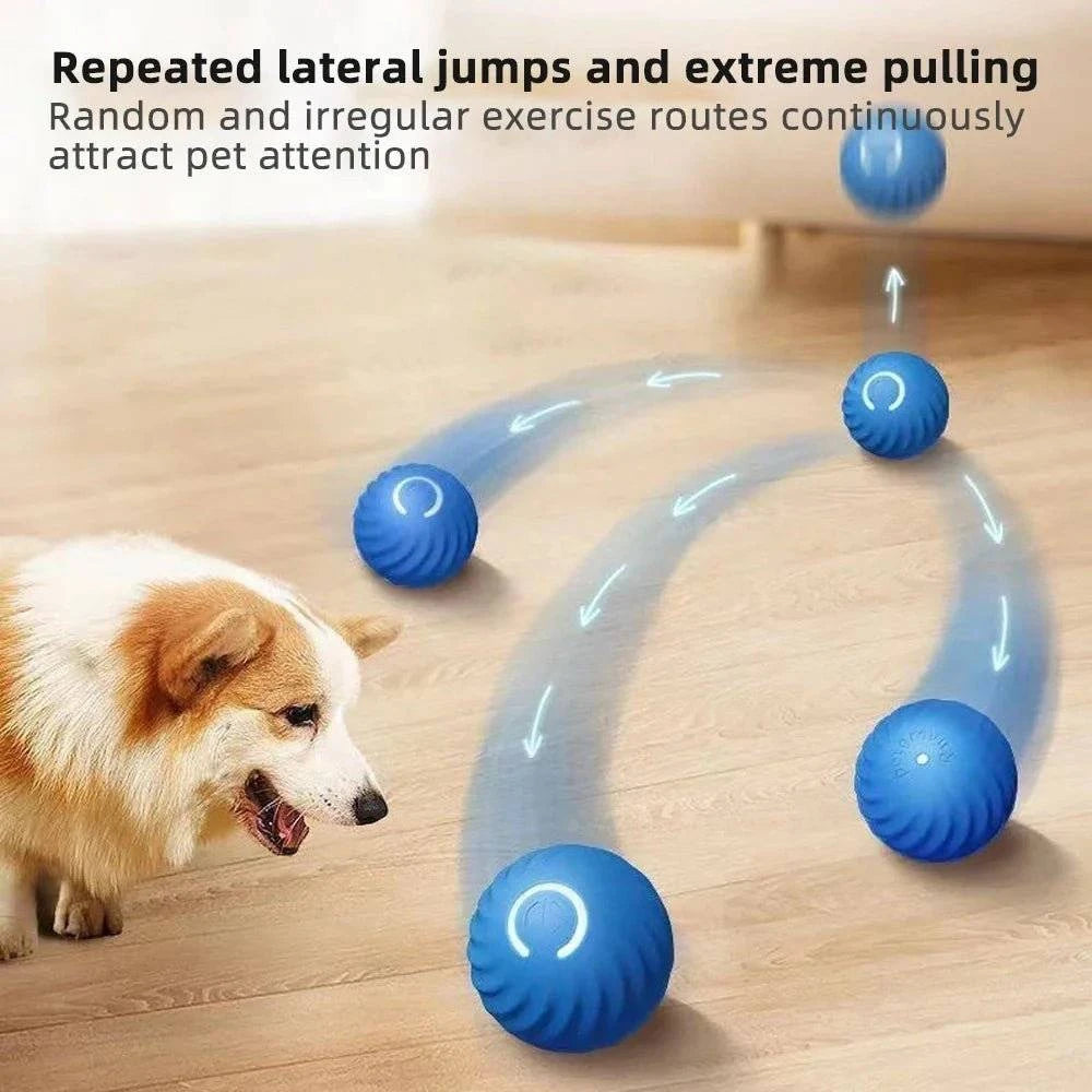 Smart Dog Toy Ball - GeniePanda