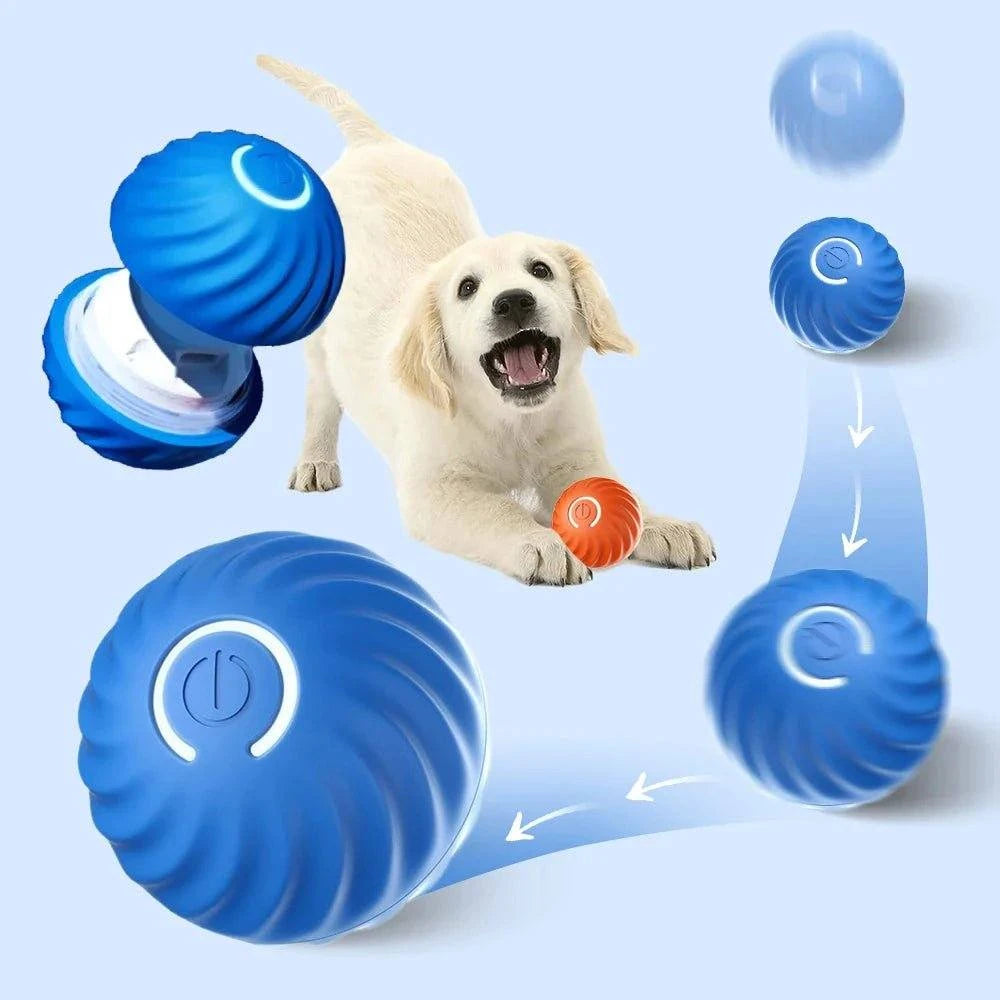 Smart Dog Toy Ball - GeniePanda